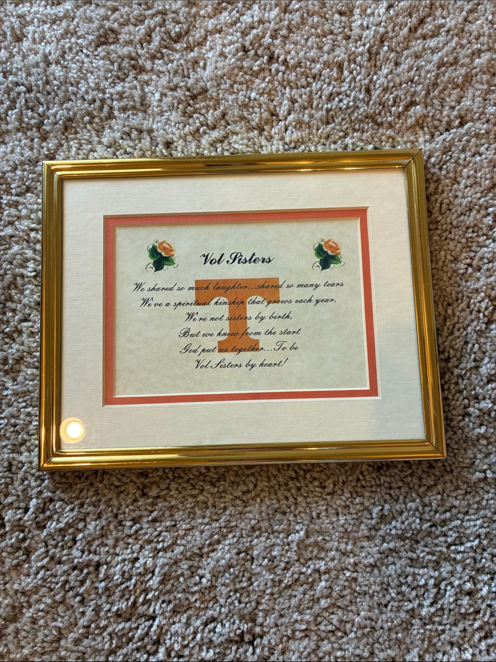 Gold Picture Frame with Coral Mat Accent